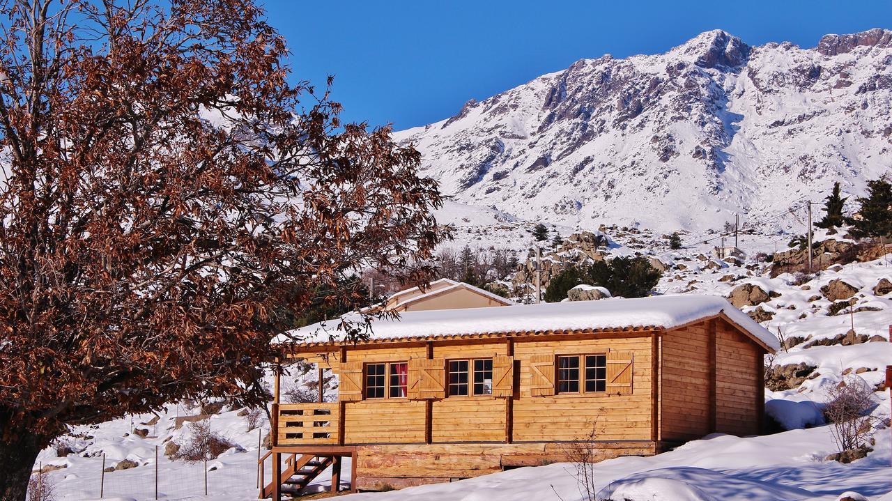 Les Chalets De Lozzi Calacuccia Exterior foto